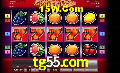 Login Seguro tg55.com